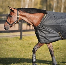 Bucas Irish Turnout+neck 50 gram regendeken